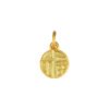 Gold Fortune Pendant Gold Fortune Pendant